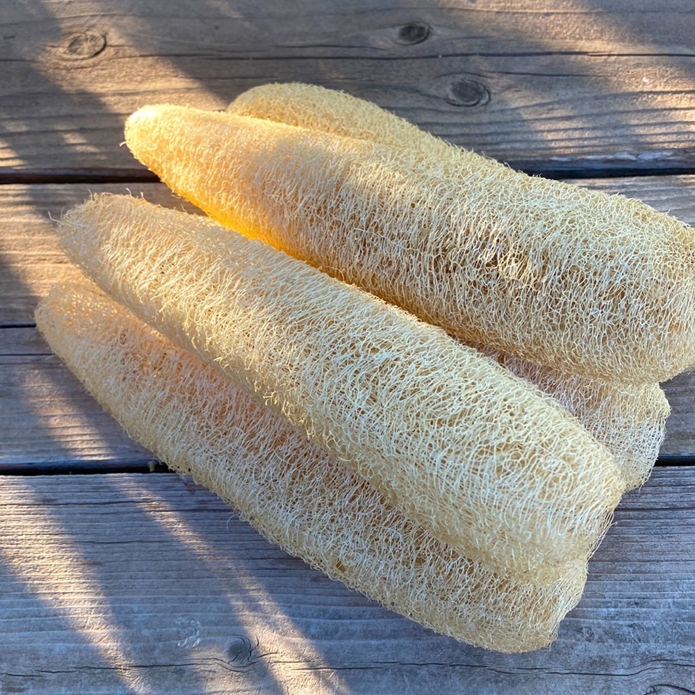 New crop! Loofah /Loofa natural sponges organically grown 9”-10” set of 4